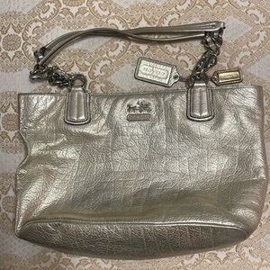 Coach Handbag and Dust Protector Bag *** Metallic Pewter